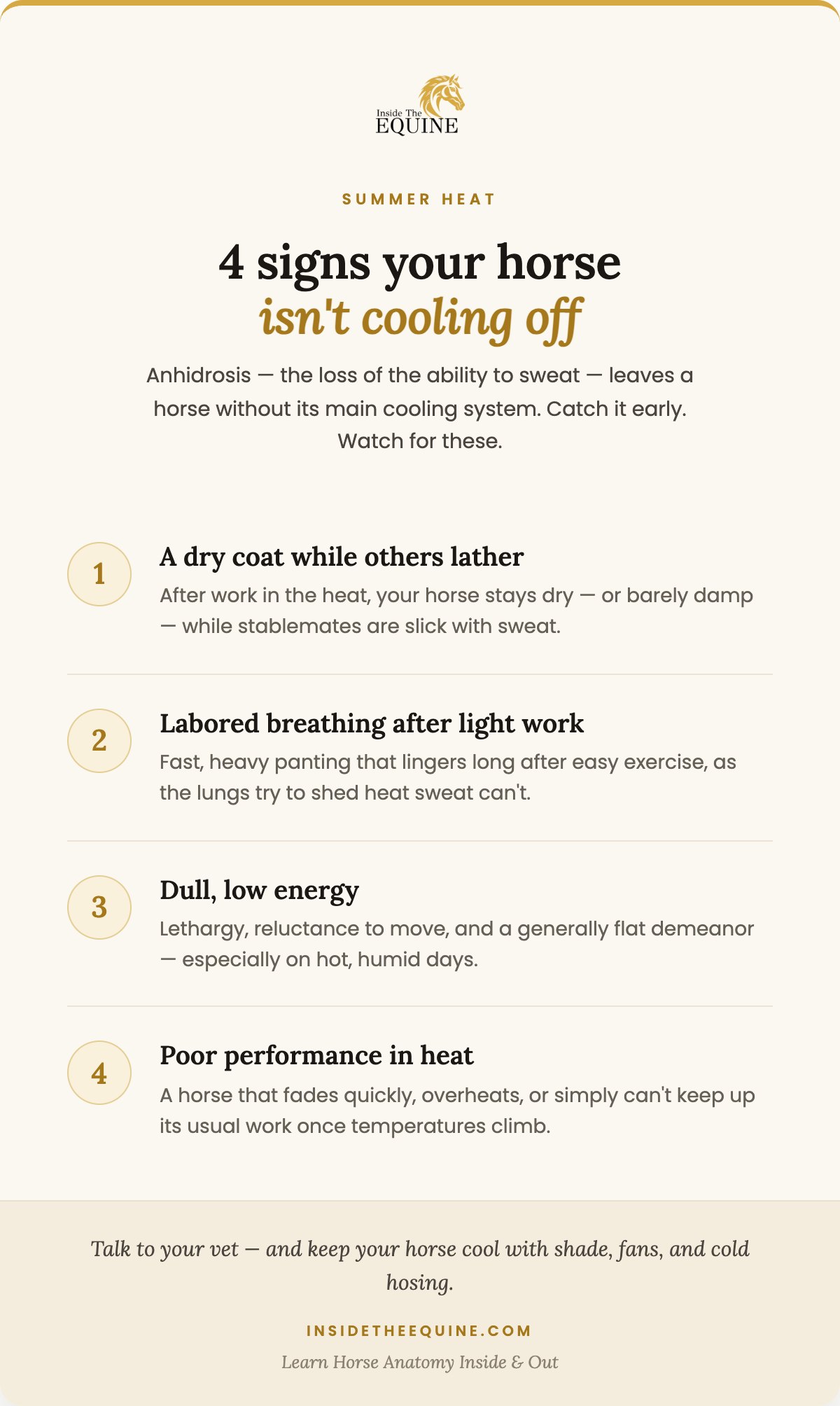 4 signs your horse is not cooling off: dry coat while others lather, labored breathing after light work, dull low energy, and poor performance in heat. Anhidrosis warning signs infographic by Inside The Equine