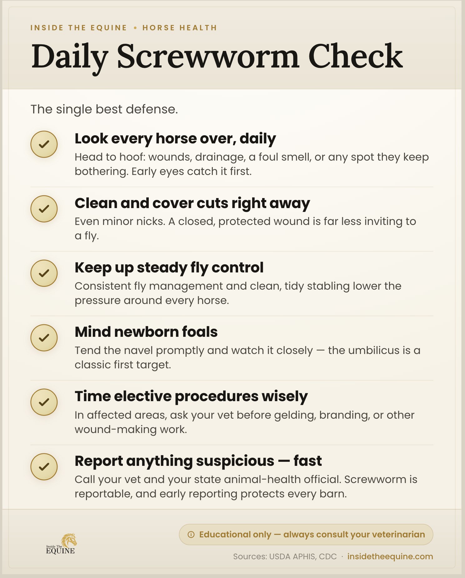 Inside The Equine daily screwworm check infographic: six prevention steps including inspecting every horse daily, cleaning and covering cuts, maintaining fly control, watching newborn foals, timing elective procedures wisely, and reporting suspicious wounds to your vet and state animal health official