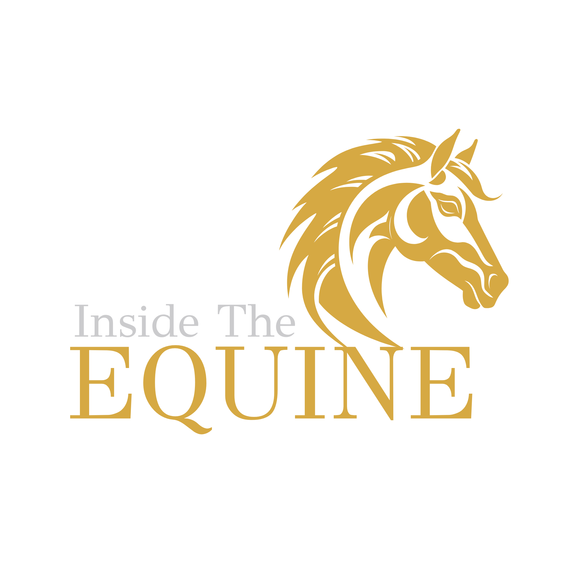 Inside the Equine